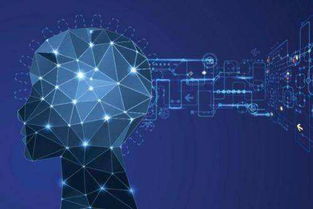 人工智能應(yīng)用于醫(yī)療保健 軟件開發(fā)中的潛在風(fēng)險(xiǎn)與倫理警示